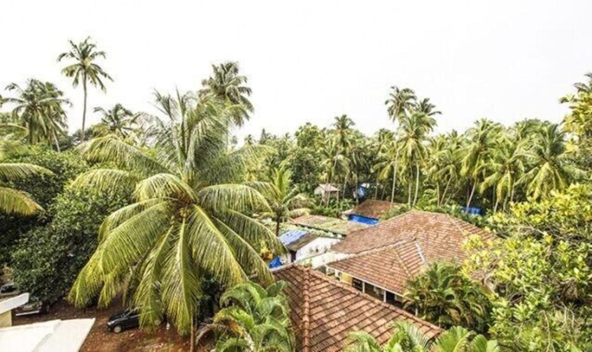 Fabexpress Orchid The Sky Hotel Calangute Buitenkant foto